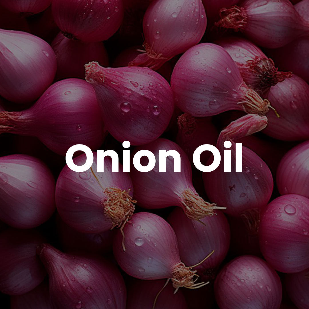 Onion Oil